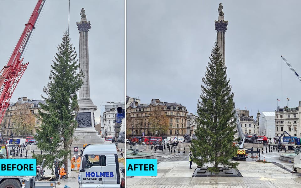 Trafalgar Square Christmas tree spruced up with 'branch transplant'